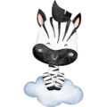 Zebra Zebra